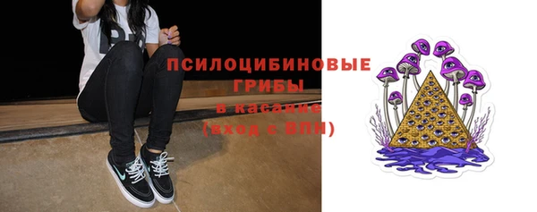 эйфоретик Новокубанск