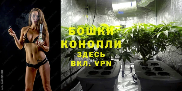 первитин Новозыбков