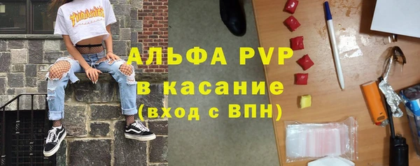 эйфоретик Новокубанск