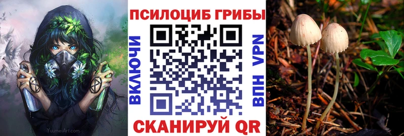 Псилоцибиновые грибы мицелий  Ковдор 